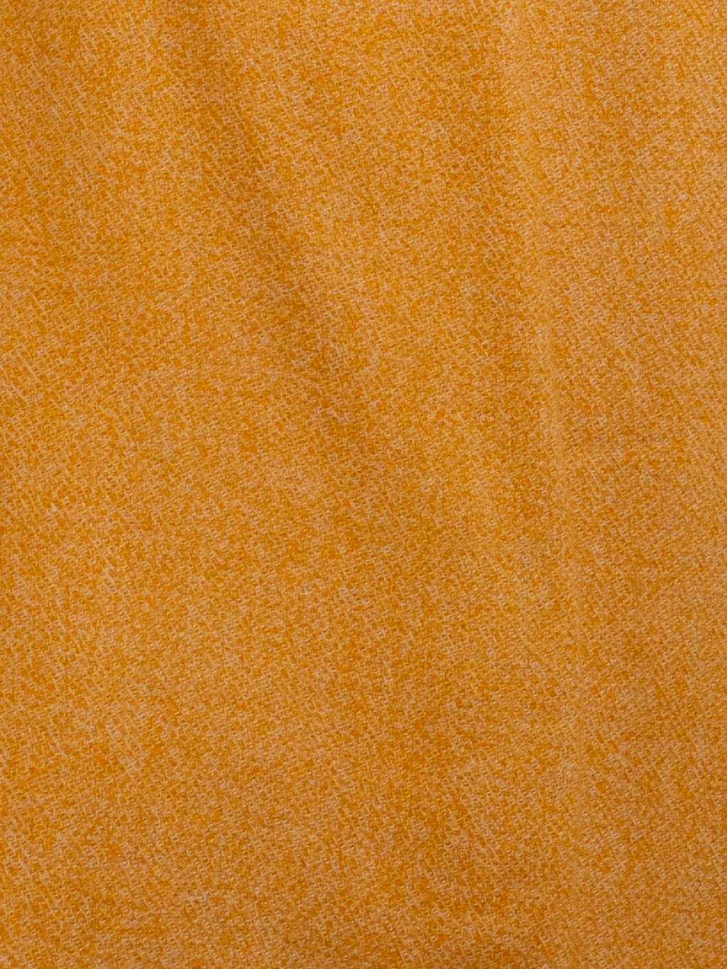 Saffron Gold Pashmina Wool Scarf
