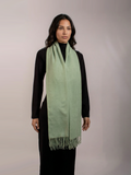 Pistachio Green Pashmina Wool Scarf